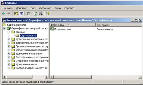 Создание агента ИСИПИ фонда в приложении - важное действие