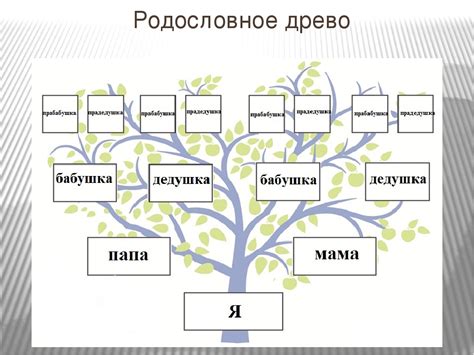 Создание генеалогического древа: подробная инструкция