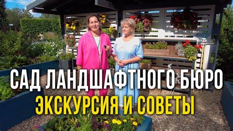Создание зон отдыха и релаксации