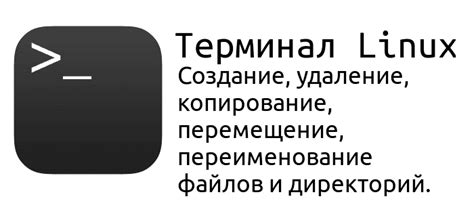 Создание и удаление директорий в Linux