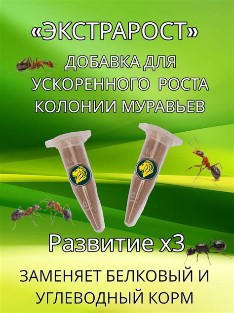 Создание комнат для муравьев