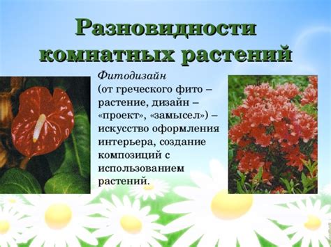 Создание композиций с использованием пней