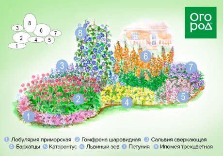 Создание красивого цветника на собственном участке: лучшие рекомендации