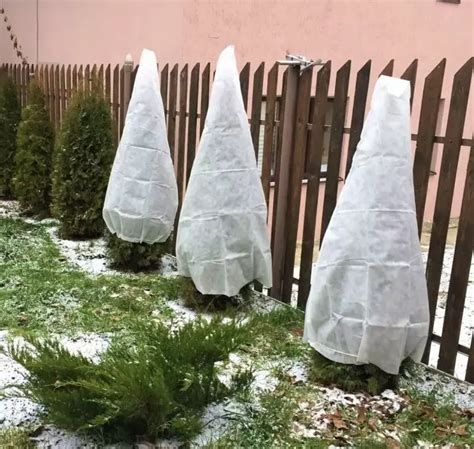 Создание надежного зимнего укрытия