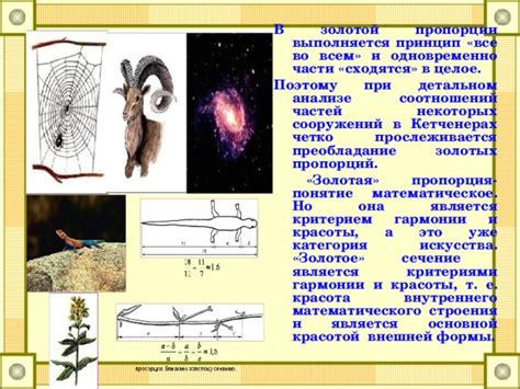 Создание основной формы и пропорций