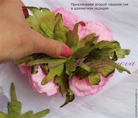Создание основы для пиона