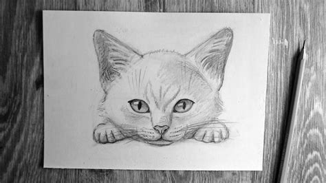 Создание основы для рисунка кота