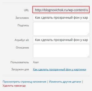 Создание публичной ссылки на файл