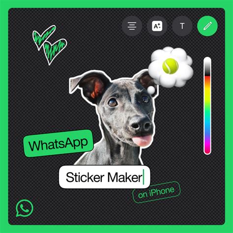 Создание собственных стикеров в приложении WhatsApp