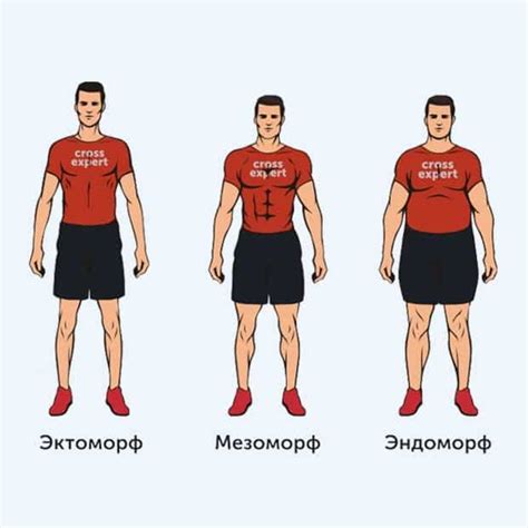 Создание формы для тела