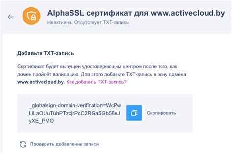 Создание TXT-записи в DNS-сервере