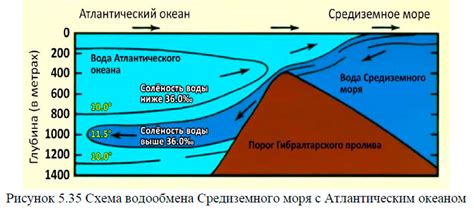 Соленость морской воды и ее взаимодействие с светом