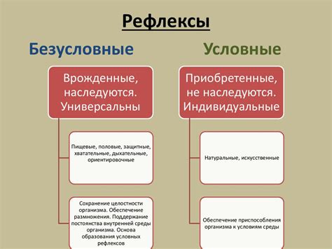 Сон и его роль в организме