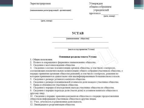 Составление устава ИП