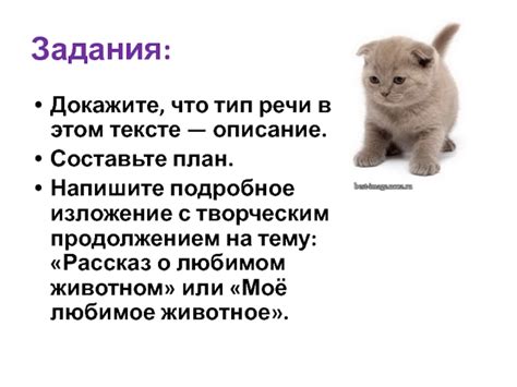 Составьте подробное описание