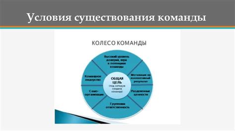 Состав команды - ключевой фактор успеха