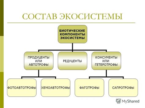Состав системы ПВВК и ее компоненты