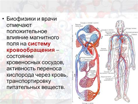 Состояние кровеносных сосудов оказывает влияние на цвет кожи лица