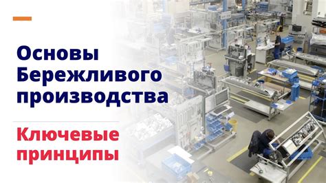 Сотрудничество и кооперация: ключевые принципы муравьиного строительства