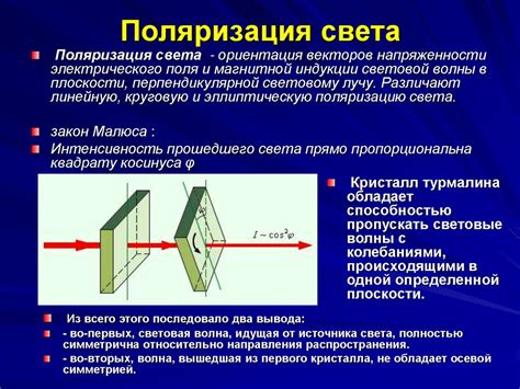 Сохранение естественного света