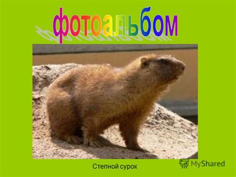 Сохранение и восстановление видов