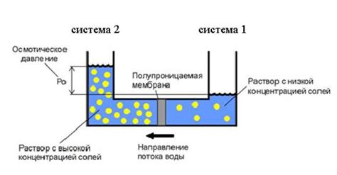 Сохранение тургорного давления