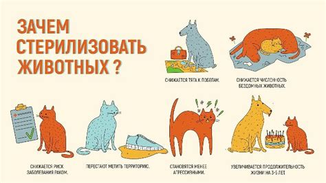 Социальная природа кошек