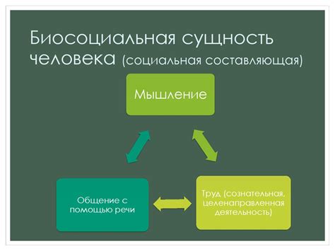 Социальная составляющая