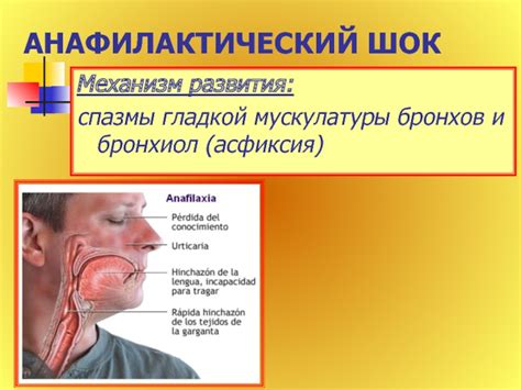 Спазмы гладкой мускулатуры и нарушение перистальтики кишечника