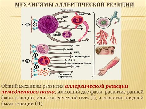 Специфические ситуации и их влияние на боекомплект