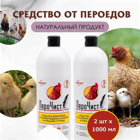 Способы борьбы с блохами у шиншилл