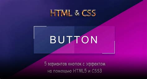 Способы добавления кнопки в HTML