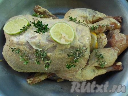 Способы маринования и ароматизации утки гриль для духовки