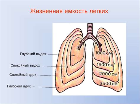 Способы осуществления глубокого вдоха