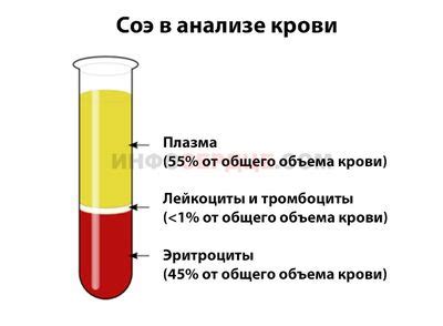 Способы повышения качества крови
