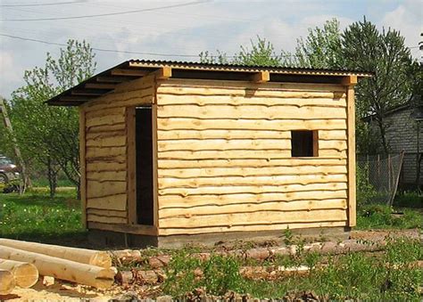 Способы предотвратить грызение козами досок в сарае