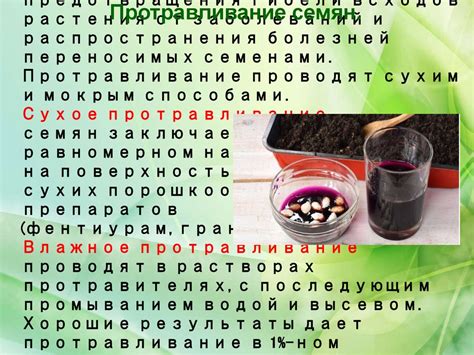 Способы предотвращения гибели растения