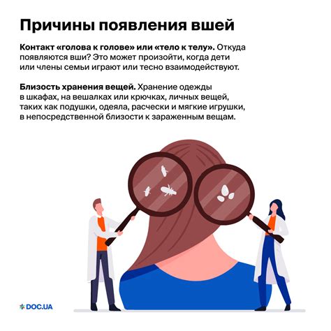 Способы предотвращения появления вшей