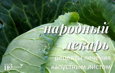 Способы применения капустного листа при воспалении лимфоузла