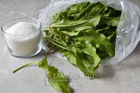 Способы сохранения щавеля на зиму для пирогов