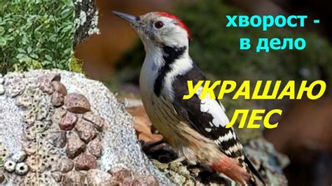 Способы украшения хвороста