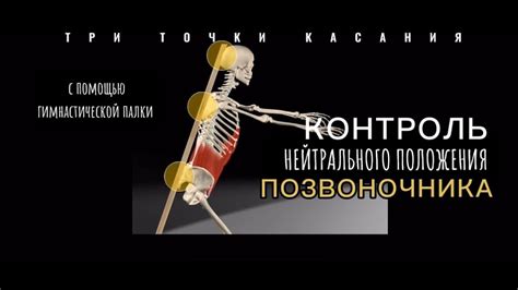 Способы улучшения положения позвоночника и общего состояния организма