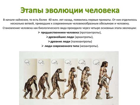 Способы эволюции