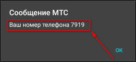Способ 1: Узнать НТМТ через USSD-команду