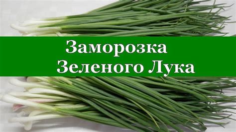 Способ 10: Заморозка лука