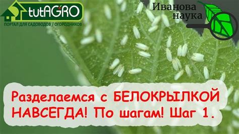 Способ 4: Примените специальное средство