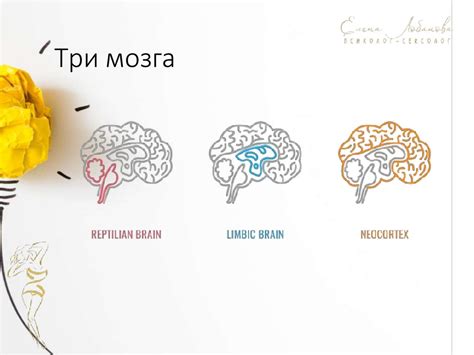 Способ 5: Практикуйте медитацию и учитеся управлять своими эмоциями