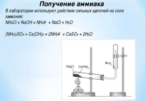Способ 6: Примените аммиак