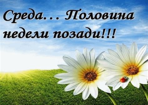 Среда - день Середины недели и богини Любви