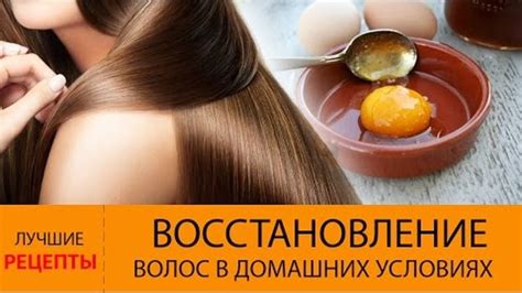 Средства для восстановления сгоревших волос